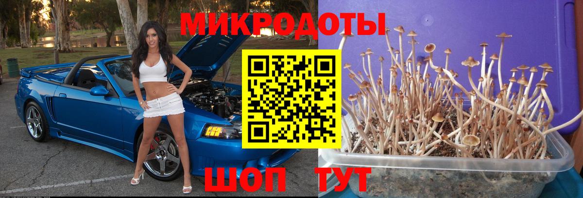 Псилоцибиновые грибы прущие грибы  Вход с VPN  Бирск 